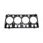 BRTVA GLAVE CASE/MF/VALTRA CS86