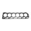 BRTVA GLAVE NH FI 115,3
