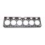 BRTVA GLAVE MF 1006-6 