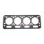 BRTVA GLAVE FI108 FIAT CO2