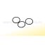 O RING 20,35X1,78