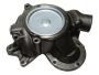 PUMPA VODE MF SA ZUPČANIKOM Z16 MOTOR 1004.4 OMP thumbnail